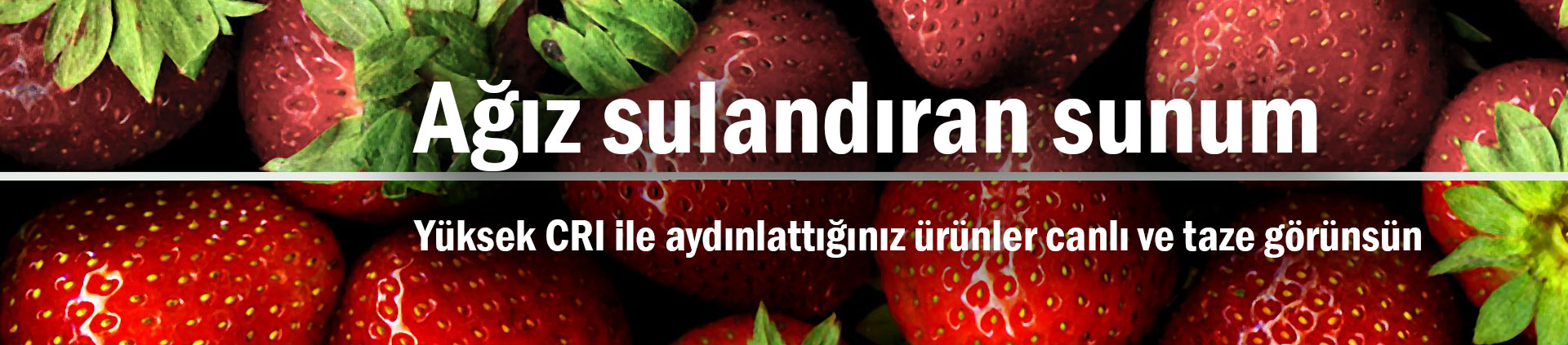 yüksek cri gıda aydınlatma